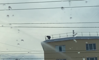 Крыша