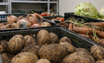 Испорченные продукты без документов обнаружили в Мурманской области Испорченные продукты без документов обнаружили в Мурманской области