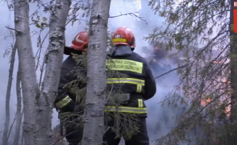 Под Апатитами сгорел дачный дом Пожар