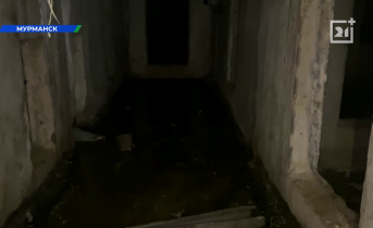 Мурманчане пожаловались на кошмар в подвале жилого дома Мурманчане пожаловались на кошмар в подвале жилого дома