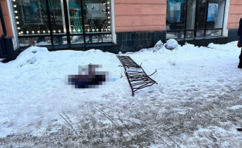 Упал с крыши