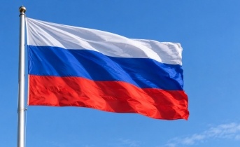 Стал известен процент явки на выборах в Мурманской области Стал известен процент явки на выборах в Мурманской области