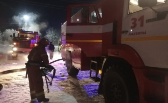 Пожар в Мурманской области Спасатели