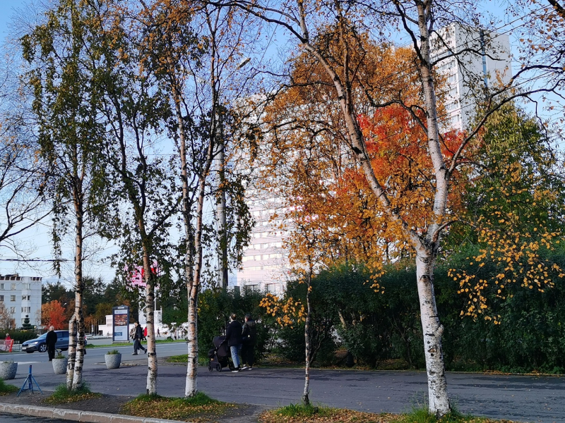 Мурманск
