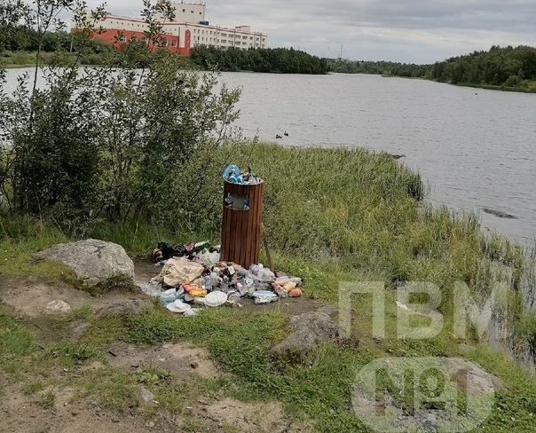 Мурманчане возмутились появлением свалки в популярной зоне отдыха Мусорка