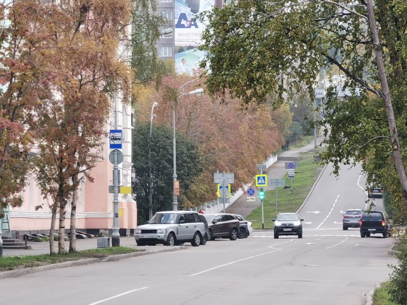 По улицам Мурманска гуляла зебра Мурманск