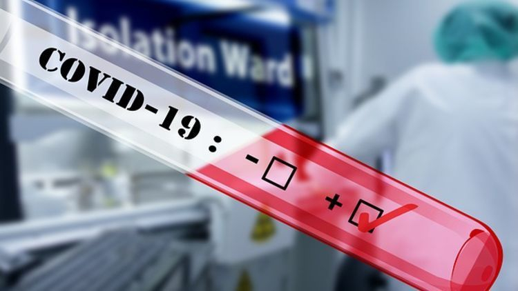 175 заболевших, 9 умерших: статистика по коронавирусу в Мурманской области Коронавирус