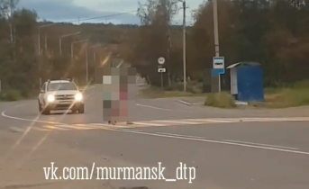 «Жди беды». Опасные игры детей попали на видео в Мурманской области Дети