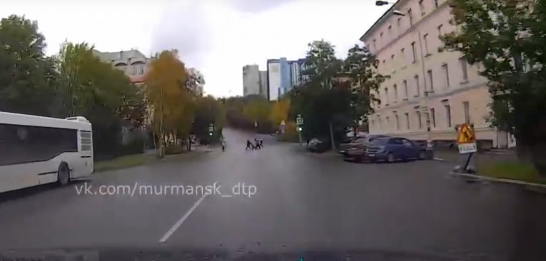 Опасное поведение пешеходов в Мурманске попало на видео Дорога