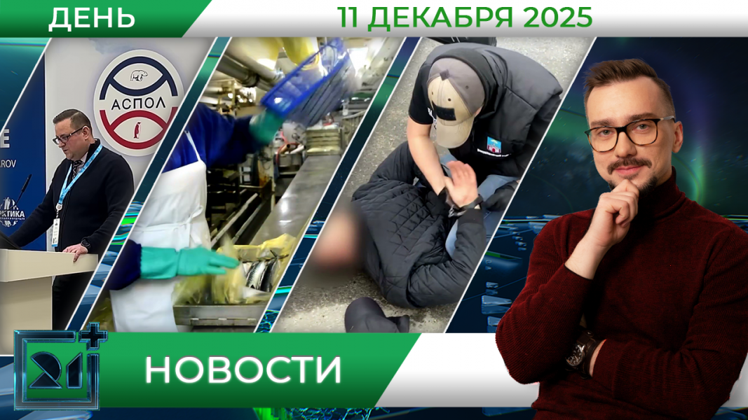 Дневные новости от 11 декабря Дневные новости от 11 декабря
