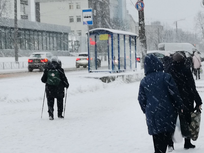 Северянка оказалась в полиции после покупки новогодней елки Мурманск