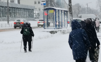 Северянка оказалась в полиции после покупки новогодней елки Мурманск