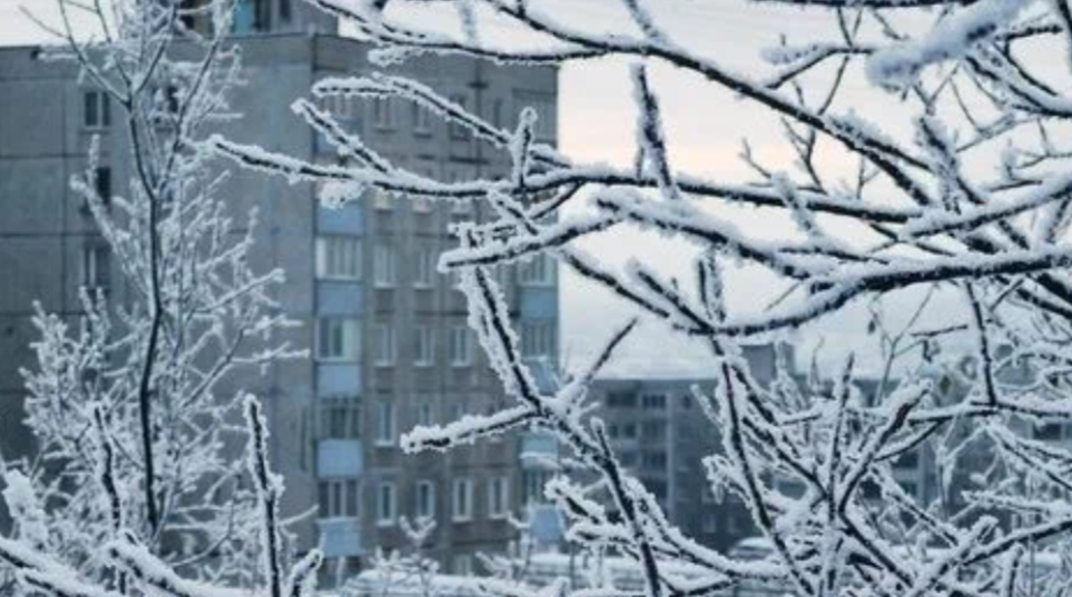 Спасатели обратились к жителям Мурманской области Мороз