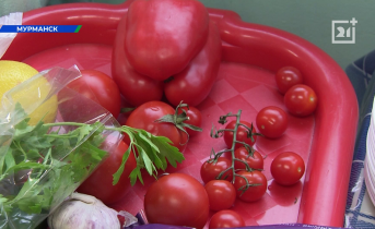 Мурманские школьники и студенты приняли участие в необычном конкурсе Продукты