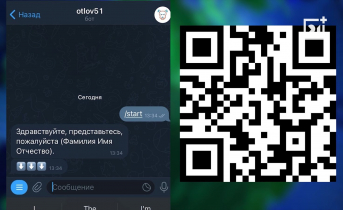 Чат-бот для отлова в Мурманской области Чат-бот для отлова