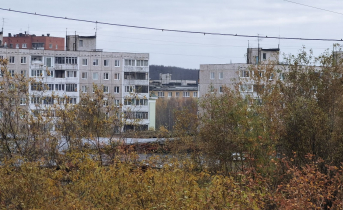 Генерального директора в Мурманской области осудили Мурманск