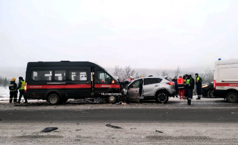За сутки в Мурманской области произошло 31 ДТП ДТП