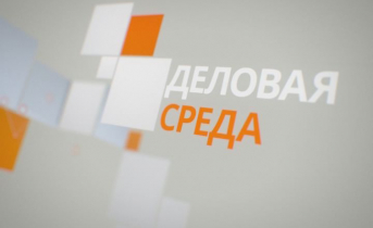 Программа «Деловая среда» от 17 ноября Деловая среда