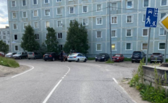 Мужчина избил сотрудника ДПС в Мурманской области