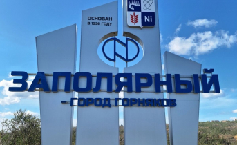 Удивительная путешественница добралась до Мурманской области своим ходом Мурманская область