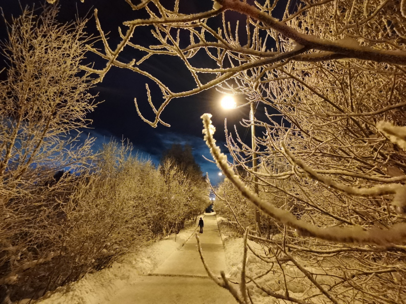 Северянка соврала и на нее завели уголовное дело в Мурманской области Парк