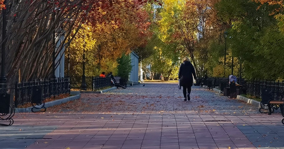 Пропавшую в Мурманской области пенсионерку нашли в другом городе Город