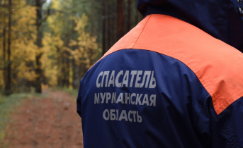 Поиски семьи в Мурманской области Спасатели