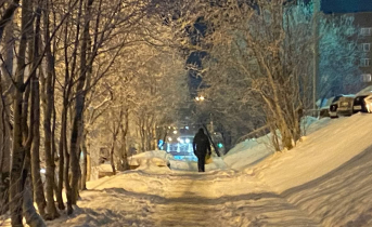 О новых сроках действия ПЦР-теста в России рассказали в Роспотребнадзоре Улица