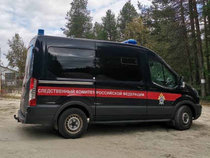 Обвиняемый в убийстве 8-летнего мальчика пойдет под суд в Мурманской области Слекдом