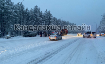 На трассе в Мурманской области сбили человека Авария