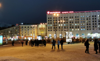 Поиски пропавшей в Мурманской области женщины прекратили Мурманск