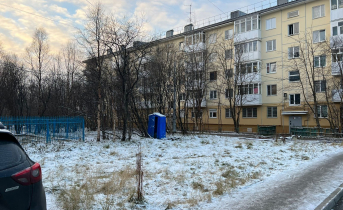 Северяне увидели неожиданную картину в мурманском дворе Биотуалет