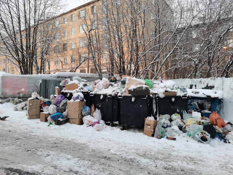 Жителям Заполярья рассказали правду о мусоре Мусор