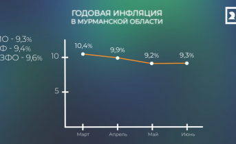 В Мурманской области наблюдается умеренный рост цен на товары Инфляция