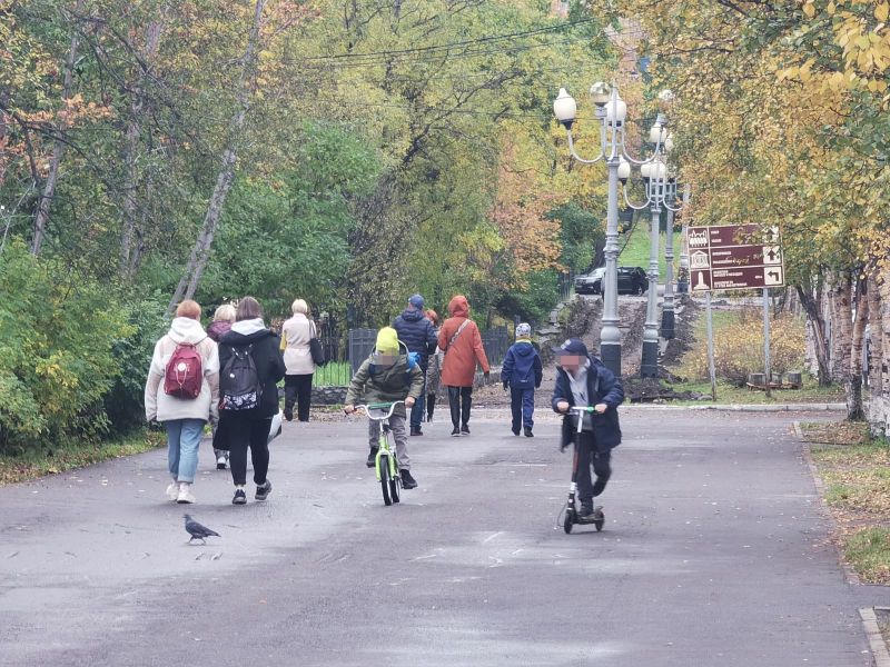 Поиски несовершеннолетней девочки в Мурманской области прекратили Парк