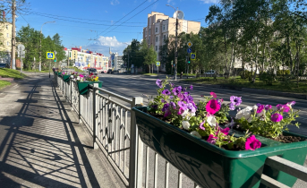 Какой погоды ожидать северянам 2 июля? Мурманск