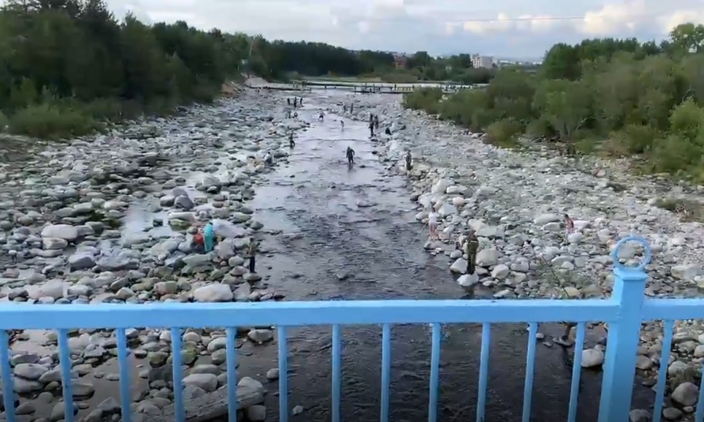 В Мурманской области продолжается «жаркий» сезон горбуши Река Нива