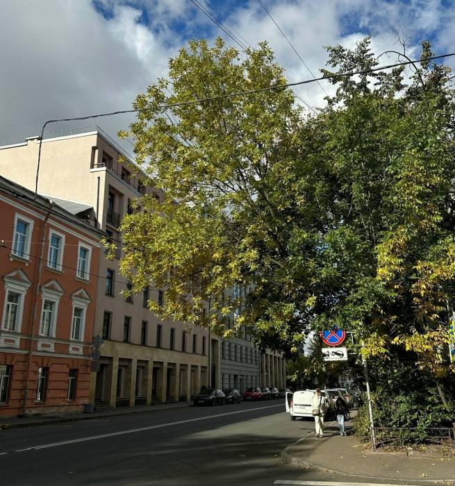 Санкт-Петербург