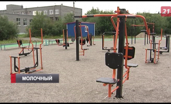 В Мурманской области появилась площадка для воркаута Спортивная площадка