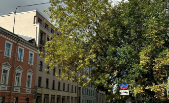 Полиция раскрыла убийство мужчины, который числился без вести пропавшим с 2024 года Санкт-Петербург