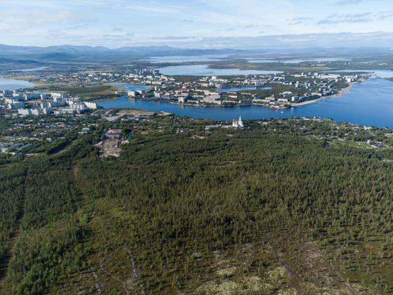 Город