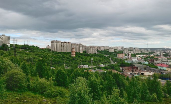 В Мурманске задержали и доставили в полицию 30 злоумышленников Мурманск
