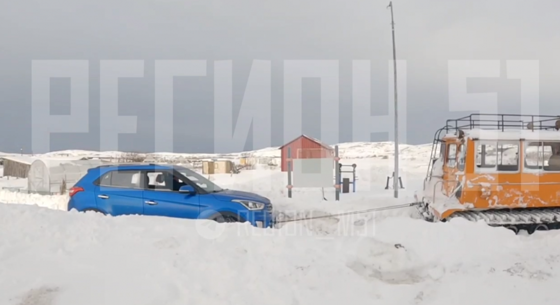 Вызволили из ловушки в Териберке Ловушка