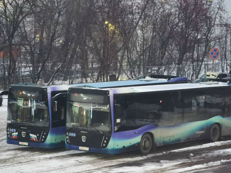 Стало известно новогоднее расписание автобусов из Мурманска в Североморск Автобусы