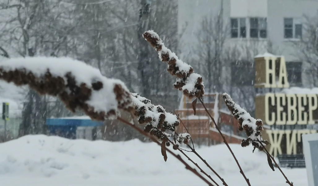 Погода в Мурманске Снег