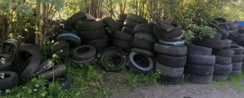Новый завод построят в Мурманской области Новый завод построят в Мурманской области