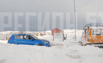 Вызволили из ловушки в Териберке Ловушка