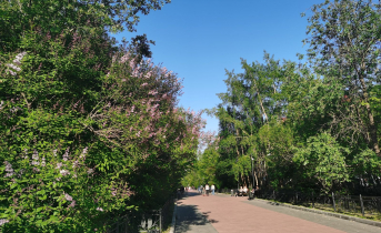 Парк