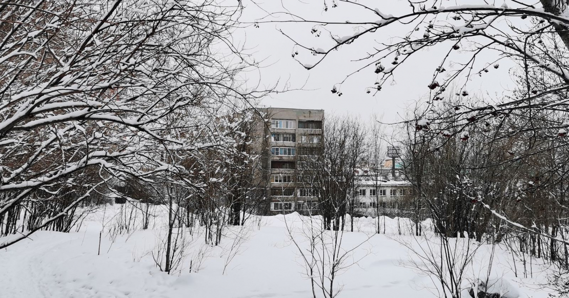 В Мурманске из окна 8 этажа выкинули собаку Многоэтажка