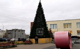 Елка